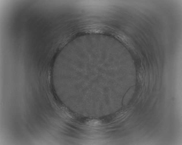 X0000075920551200609291827