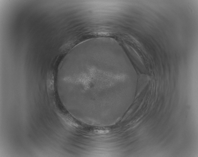 X0000075920552200609291827