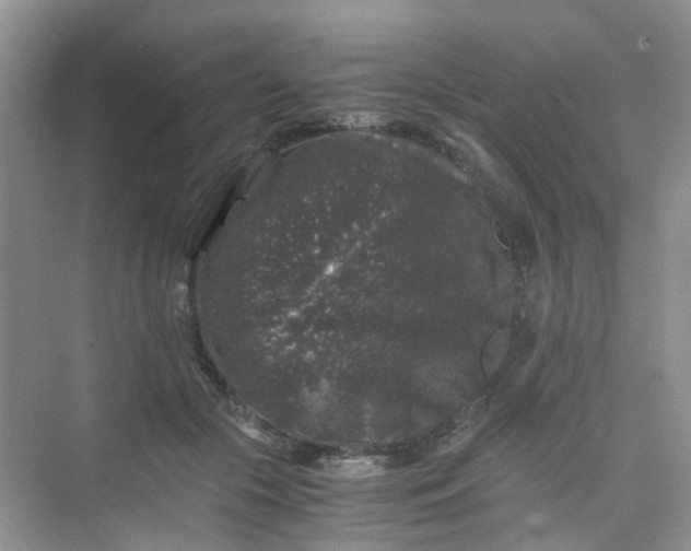 X0000075920553200609291827