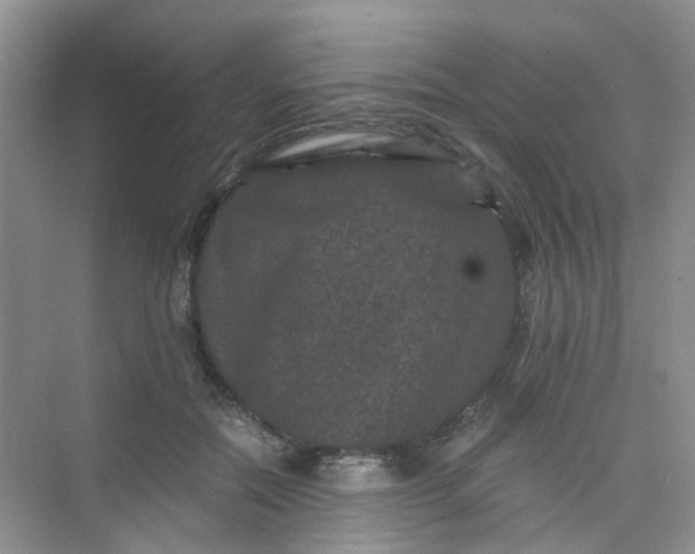 X0000075920554200609291827