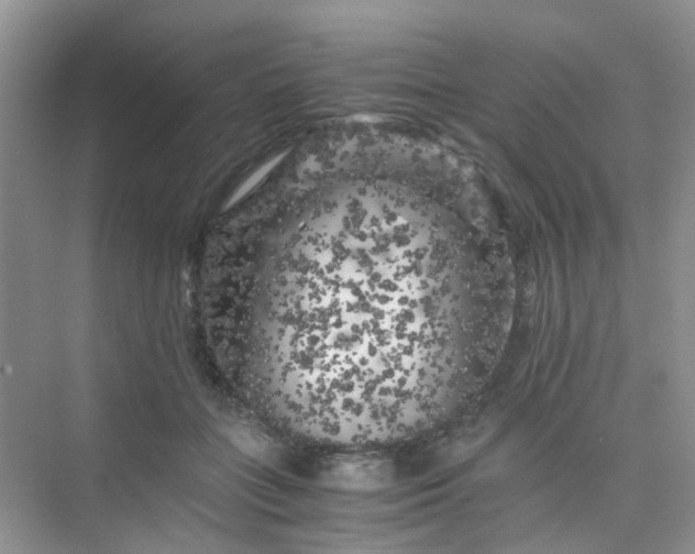 X0000075920555200609291827