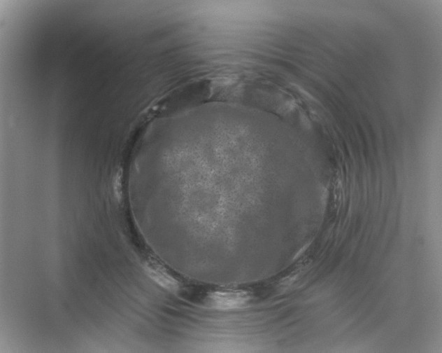 X0000075920556200609291827