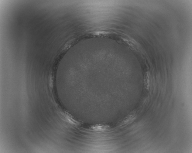 X0000075920558200609291827