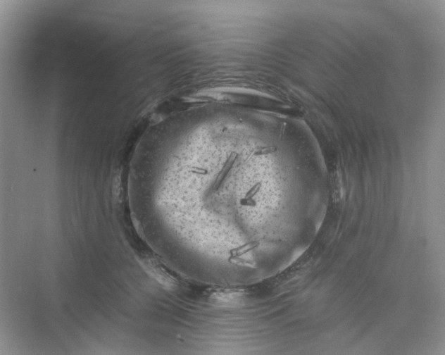 X0000075920560200609291827