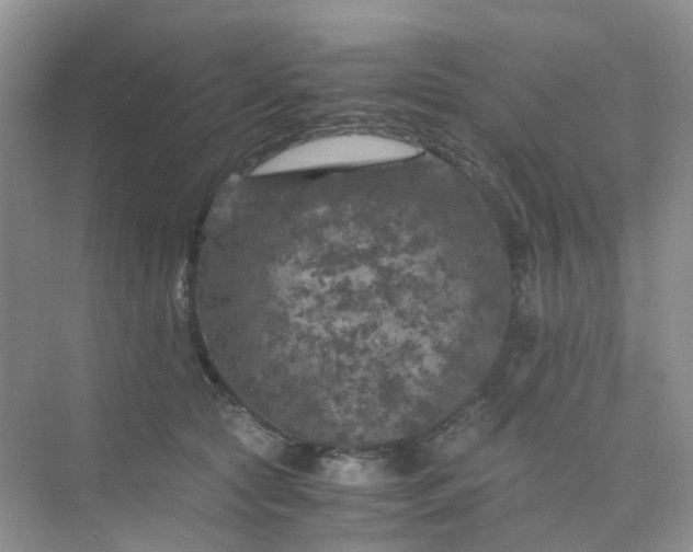 X0000075920561200609291827