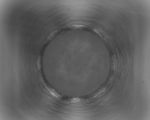 X0000075920562200609291827