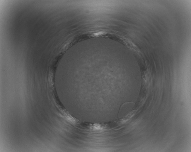 X0000075920565200609291827