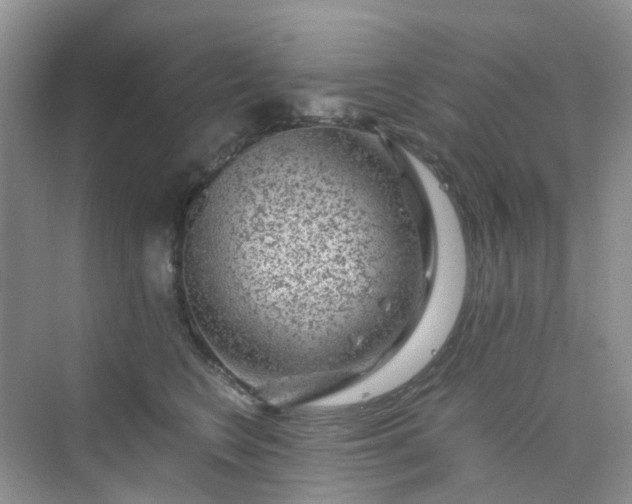 X0000075920566200609291827