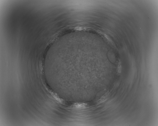 X0000075920569200609291827