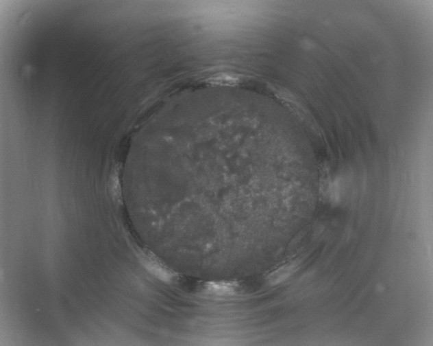 X0000075920573200609291827