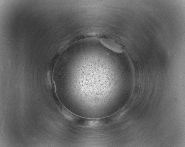 X0000075920575200609291827