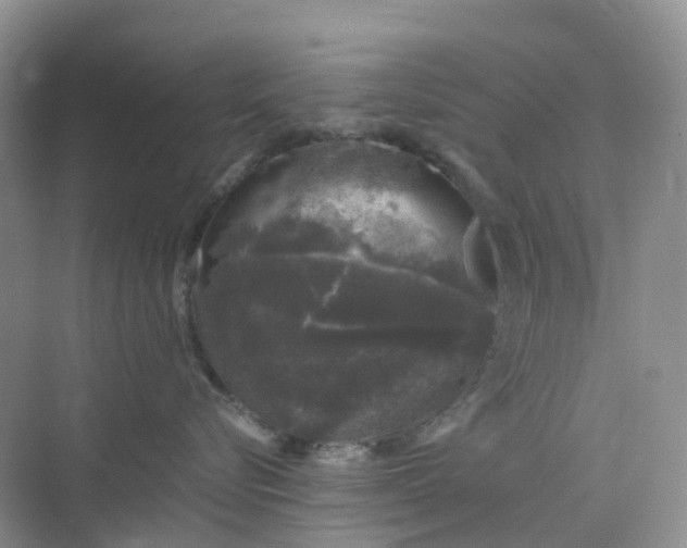 X0000075920576200609291827