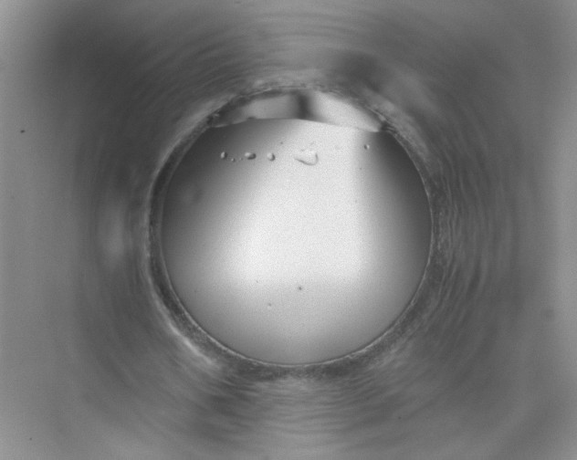 X0000075920578200609291827