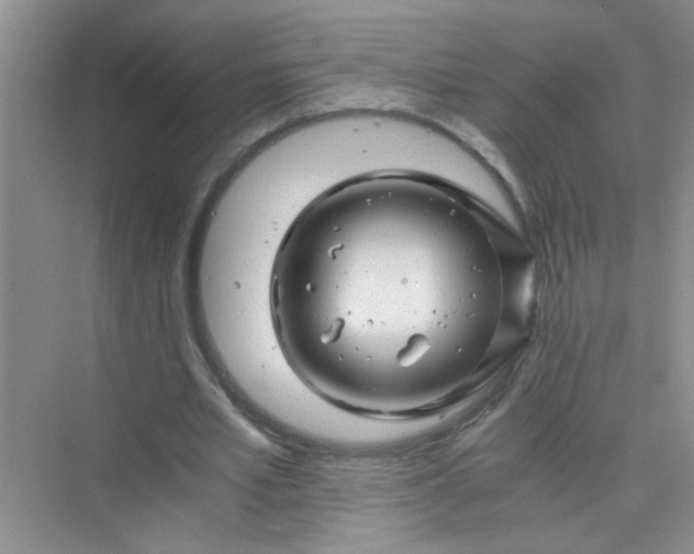 X0000075920581200609291827