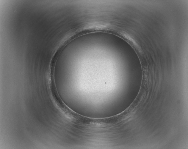 X0000075920582200609291827