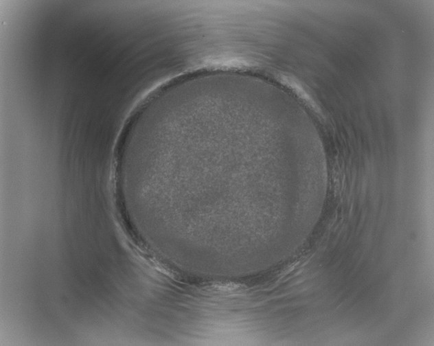 X0000075920583200609291827