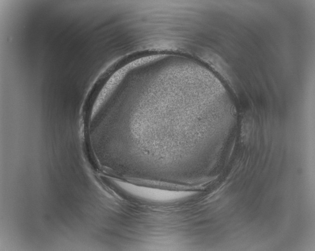 X0000075920584200609291827