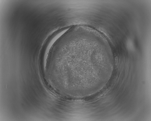 X0000075920587200609291827