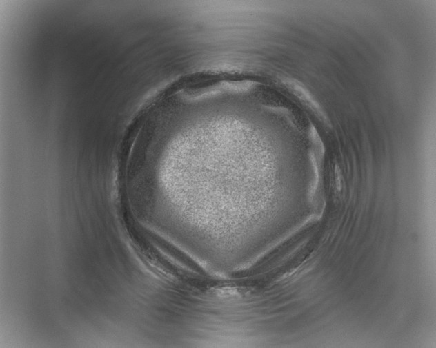 X0000075920588200609291826