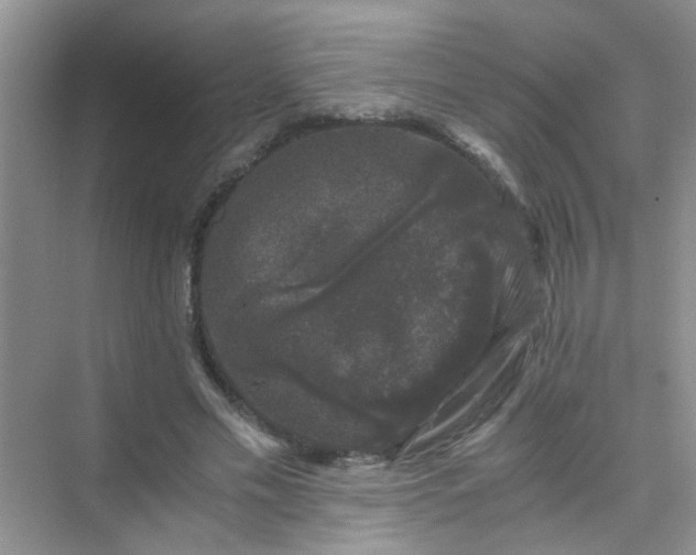 X0000075920589200609291826