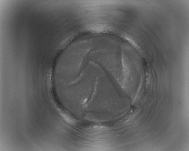 X0000075920590200609291826