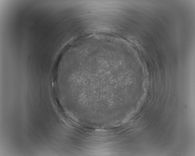 X0000075920591200609291826