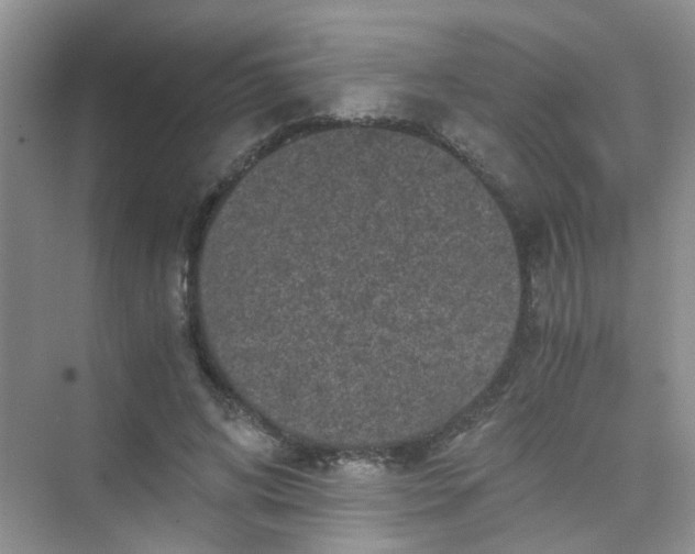 X0000075920592200609291826