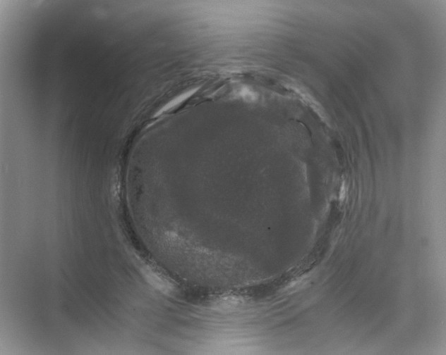 X0000075920593200609291826