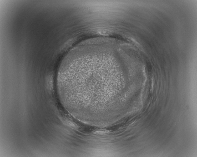 X0000075920595200609291826