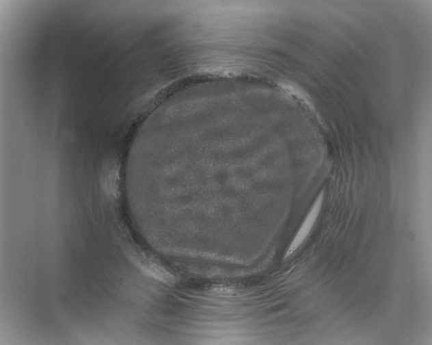 X0000075920596200609291826