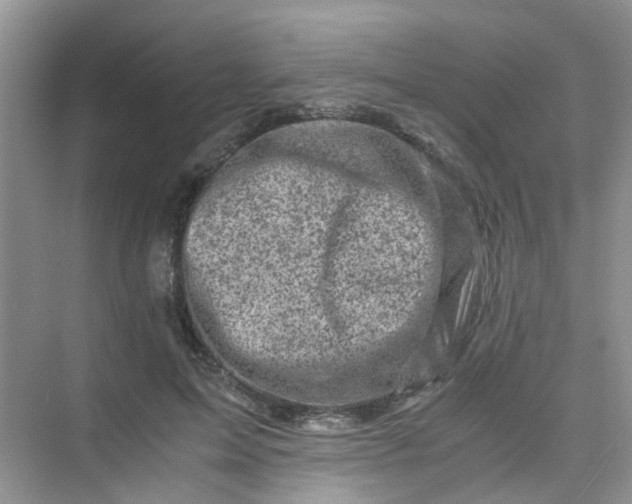 X0000075920599200609291826