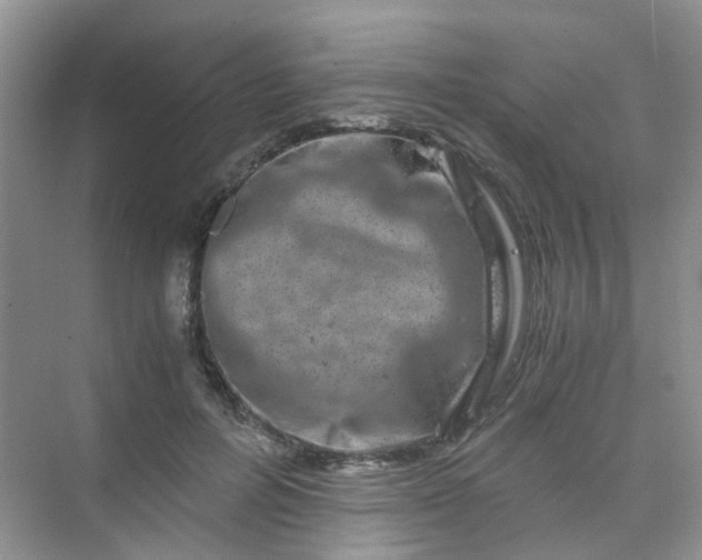 X0000075920600200609291826