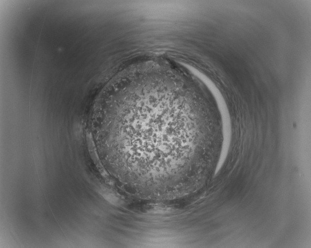 X0000075920601200609291826