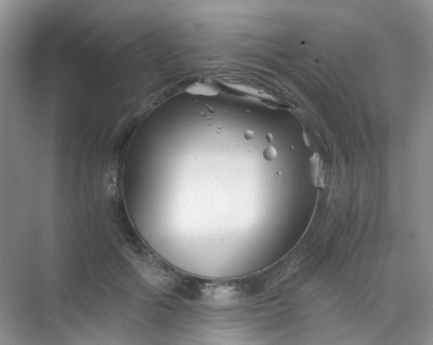 X0000075920602200609291826