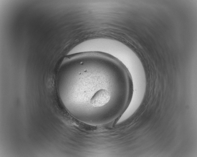 X0000075920603200609291826