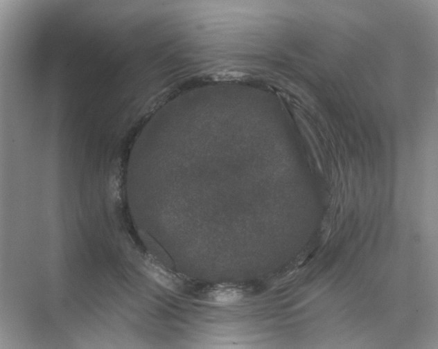 X0000075920604200609291826