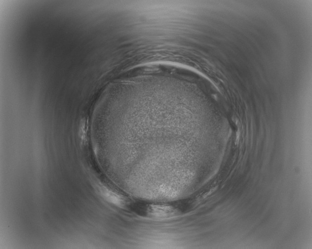 X0000075920605200609291826