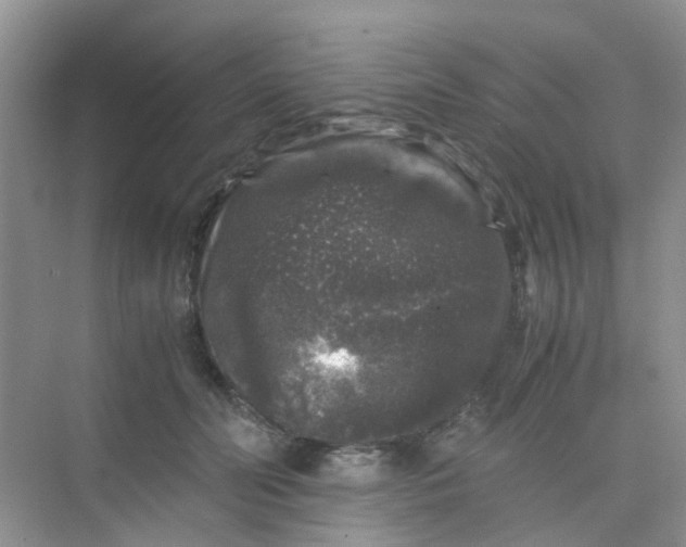 X0000075920606200609291826