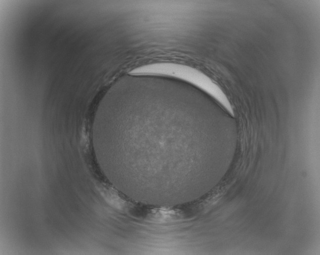 X0000075920607200609291826