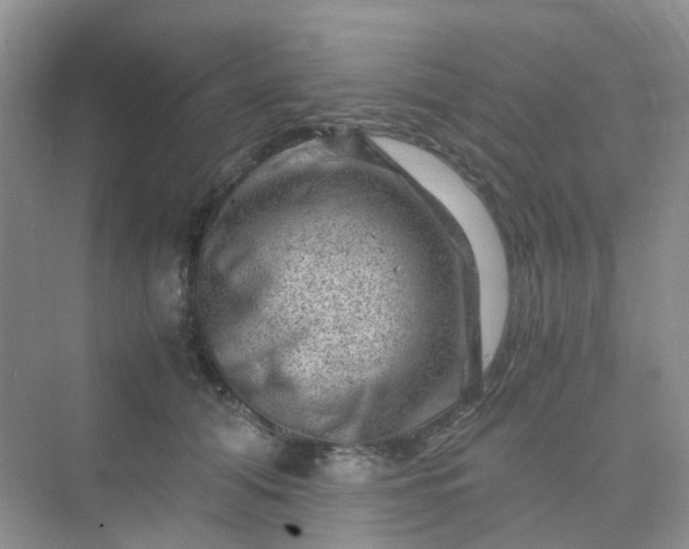 X0000075920608200609291826