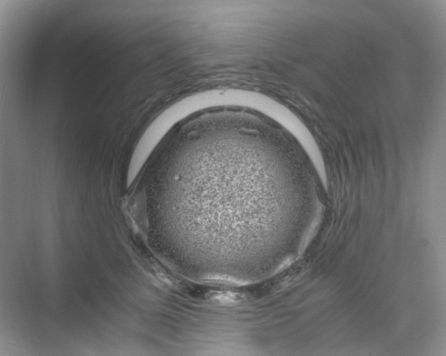 X0000075920611200609291826