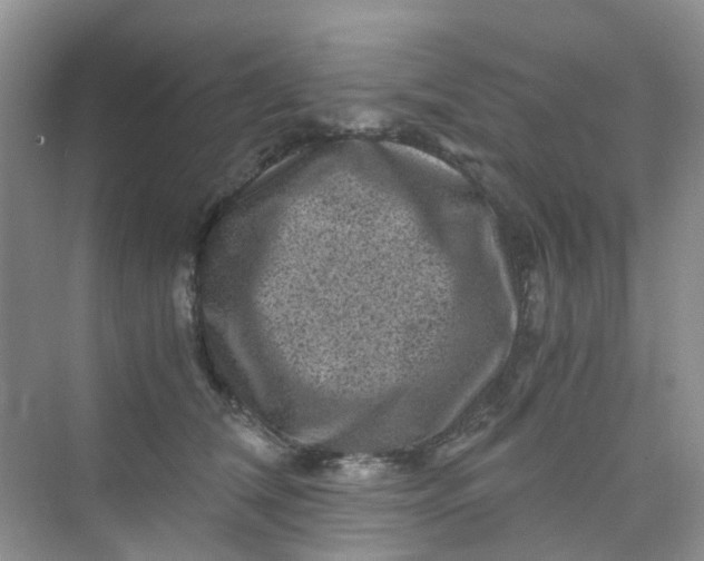 X0000075920612200609291826