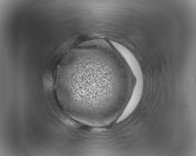 X0000075920617200609291826