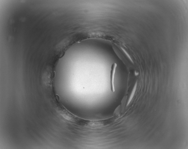 X0000075920619200609291826