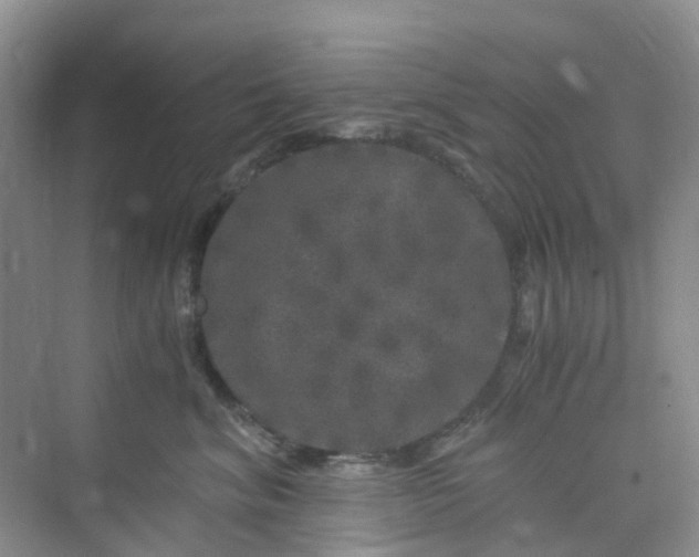 X0000075920620200609291826