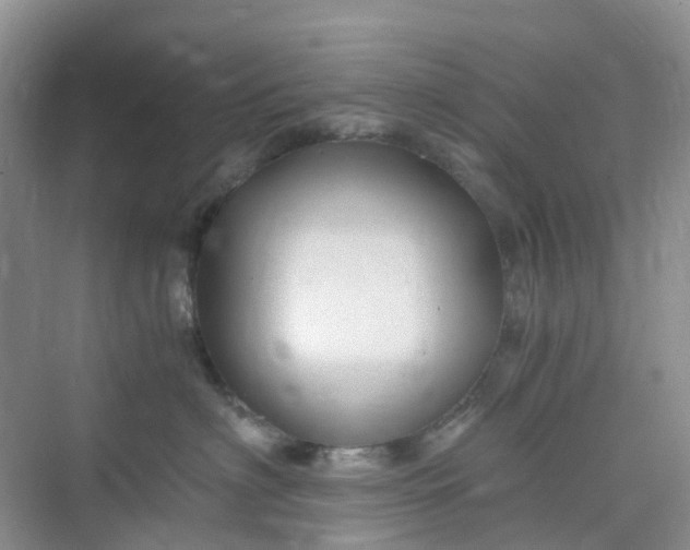 X0000075920622200609291826