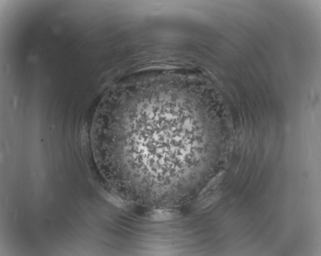 X0000075920623200609291826