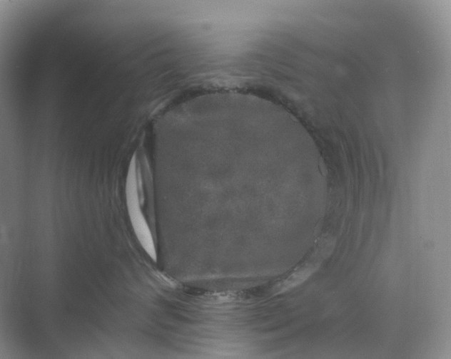 X0000075920624200609291826