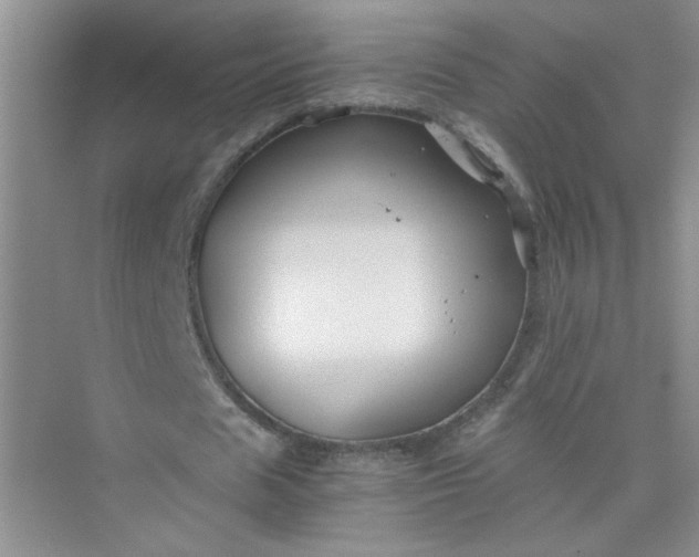 X0000075920625200609291825