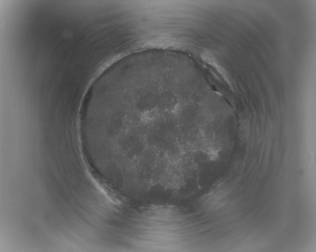 X0000075920626200609291825